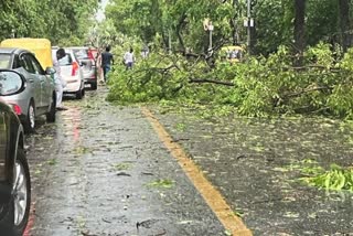 Heavy Rain in Delhi: ଦିଲ୍ଲୀରେ ବର୍ଷା ବିତ୍ପାତ, ଜଣେ ମୃତ