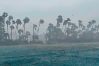 Heavy Rains in AP