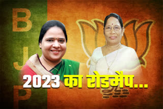 BJP Rajya Sabha candidates setting a road map for 2023 assembly elections in Madhya Pradesh