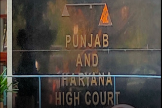 High Court Notice To Punjab Government For Withdrawal Of Security Of 424 People  പഞ്ചാബ് സര്‍ക്കാര്‍ വിഐപി സുരക്ഷ പിന്‍വലിച്ചു  ഹരിയാന ഹൈക്കോടതി  സിദ്ദു മൂസേവാല കൊലപാതകം  High Court haryana