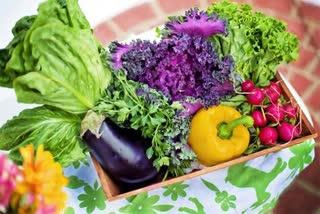 today vegetable price in Hyderabad