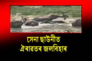 Elephant bathing at Narengi Indian army camp