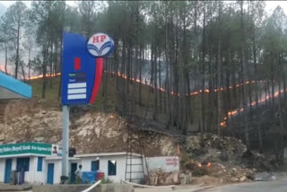 Forest fire reached near petrol pump