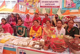 Women Self Help Groups in Sirmaur