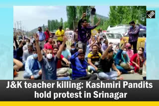 protest on Srinagar National Highway