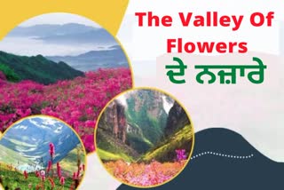 Valley of Flowers