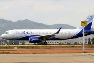 IndiGo will conduct an internal case study on how to better handle specially abled passengers, especially when they are feeling distressed, its CEO Ronojoy Dutta has said