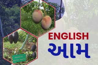 Foreign Mango : કેસરી અને કેસરી બાદ ગીરમાં જોવા મળશે ટોમી એટકિન્સ મહાચીનોક માયા અને કીટ