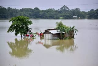 Assam Flood Update;ସୁଧୁରୁଛି ବନ୍ୟା ସ୍ଥିତି,ମୃତ୍ୟୁ ସଂଖ୍ୟା ୩୮କୁ ବୃଦ୍ଧି