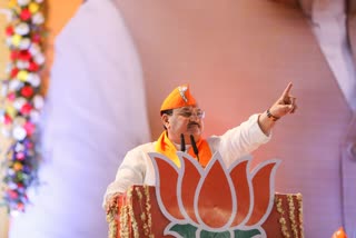 BJP President JP Nadda Emphasis on Election winning Strategy in MP