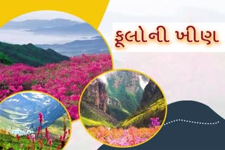 Valley Of Flowers : પર્યટકો માટે ફૂલની ખીણ મુકાશે ખુલ્લી, જુઓ 500 પ્રજાતિના ફૂલો