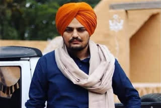 Days after Sidhu Moose Wala's murder, Punjab govt to restore security cover of 424 VIPs