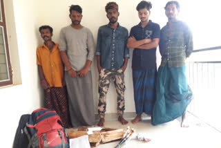 ചന്ദനം കടത്താന്‍ ശ്രമം  ചന്ദനകടത്ത്  പാലക്കാട് ചന്ദനകടത്ത്  Five arrested for trying to smuggle sandalwood  smuggle sandalwood  Five arrested in palakkad