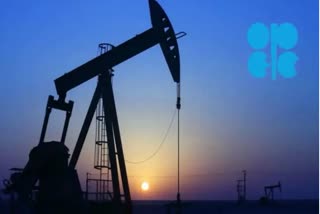 OPEC countries' new decision on crude oil