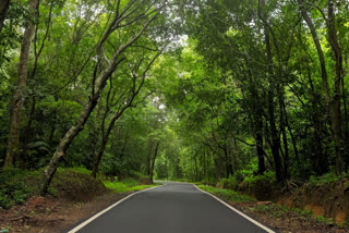 Anand Mahindra tweeted over Kukke Subramanya road, Anand Mahindra tweeted over Kukke Subramanya forest nature, Anand Mahindra tweeted news, ಕುಕ್ಕೆ ಸುಬ್ರಹ್ಮಣ್ಯ ರಸ್ತೆ ಬಗ್ಗೆ ಆನಂದ್ ಮಹೀಂದ್ರಾ ಟ್ವೀಟ್, ಕುಕ್ಕೆ ಸುಬ್ರಹ್ಮಣ್ಯ ಅರಣ್ಯ ಕುರಿತು ಆನಂದ್ ಮಹೀಂದ್ರ ಟ್ವೀಟ್, ಆನಂದ್ ಮಹೀಂದ್ರ ಟ್ವೀಟ್ ಸುದ್ದಿ,