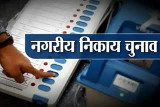 MP Municipal Elections 2022