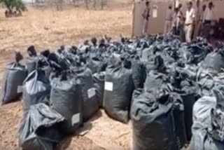 destroyed 10 thousand kg of opium doda sawdust by burning