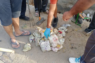 Nutritional food packets found in drain in betul