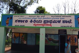 Government Primary School in Hanur taluk hosadoddi village