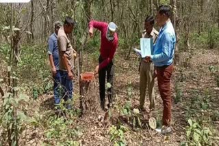 ramnagar DFO suspends two forest guards