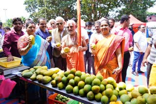 ನೈಸರ್ಗಿಕ ಮಾವು ಮೇಳ