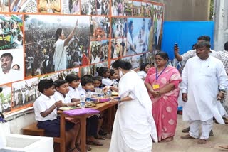 mamata at singur