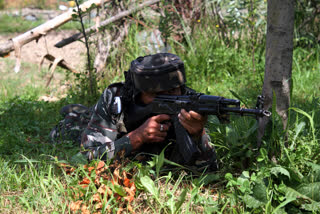 Encounter in verinag anantnag, security forces on the job