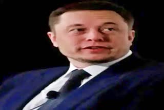 musk