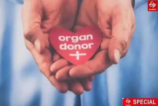 Human organ donation