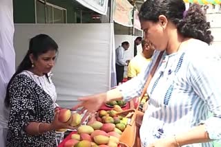 Mango Fruit Fair at Kodagu