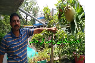 Ashish Kumar Engineering to Agriculture