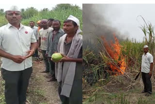 vice president of koregaon farmers association set fire to three acres of sugarcane in karad