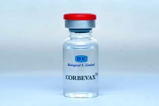 Corbevax ବୁଷ୍ଟର ଡୋଜକୁ ବ୍ୟବହାରିକ ଅନୁମତି