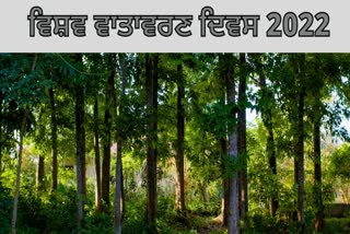 World Environment Day 2022