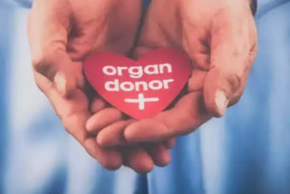 organ donation