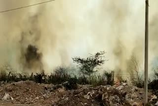 Fire in the bushes of Rajwat in Alwar