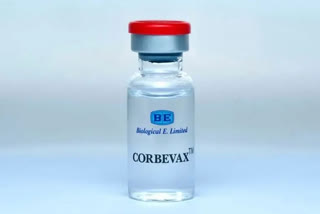 DCGI has approved Corbevax