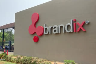 brandix sez