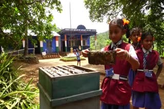 Karwar government junior primary school