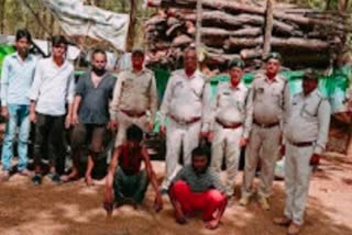 Forest department caught two