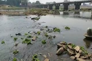 Now the river will not be polluted