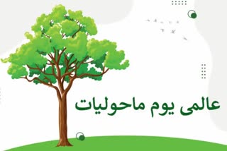 ملک بھر میں عالمی یومِ ماحولیات پر خصوصی پروگرام