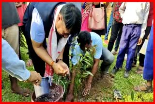 World environment day celebrated at Bokakhat