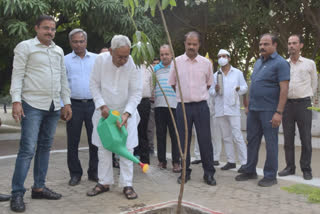 सीएम नीतीश कुमार ने मनाया विश्व पर्यावरण दिवस