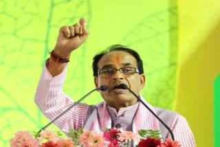 CM Shivraj announced to make Amarkantak reserve forest