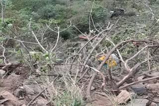 tourists fallen into ditch