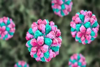 Nora virus in kerala  Nora virus  Two children in Vizhinjam have been diagnosed with norovirus  Two children have been diagnosed with norovirus  വിഴിഞ്ഞത്ത് ഭക്ഷ്യവിഷബാധയേറ്റ രണ്ട് കുട്ടികൾക്ക് നോറോ വൈറസ് സ്ഥിരീകരിച്ചു  കേരളത്തിൽ നോറോ വൈറസ് സ്ഥിരീകരിച്ചു  വിഴിഞ്ഞത്ത് നോറോ വൈറസ്  എന്താണ് നോറ വൈറസ്  What is Nora virus  ആരോഗ്യ മന്ത്രി വീണ ജോർജ്