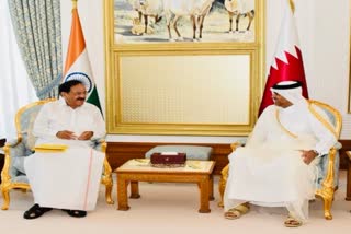 Vice President M Venkaiah Naidu holds talks with Qatari Prime Minister
