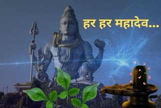 Lord Shiv Puja