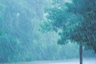 Rains in Andhra Pradesh